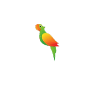 parrot for sale