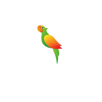 parrot for sale